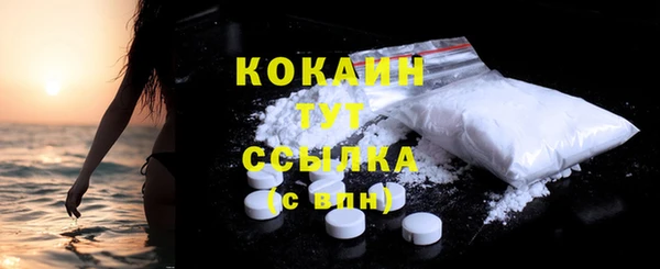 МДПВ Гусев