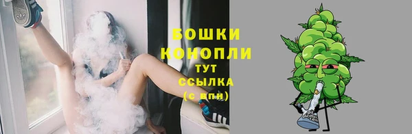 МДПВ Гусев